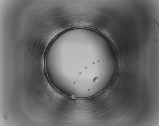 X0000102251032200808081406