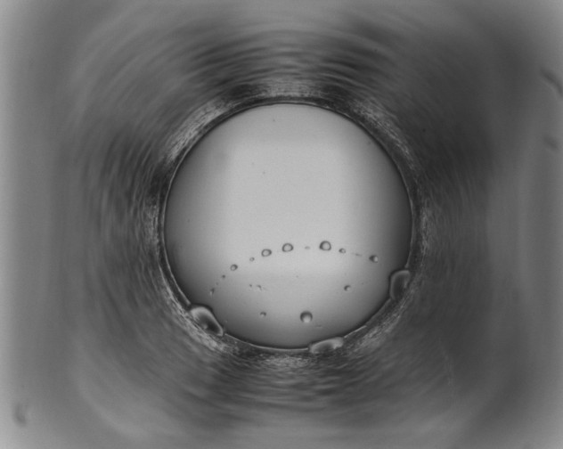 X0000102251033200808081406