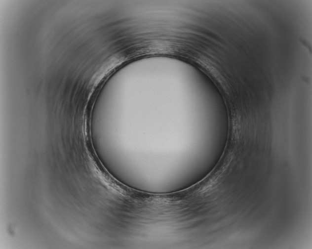 X0000102251034200808081406