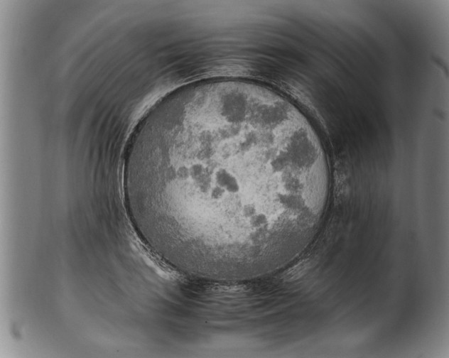 X0000102251035200808081406