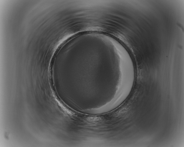 X0000102251037200808081406