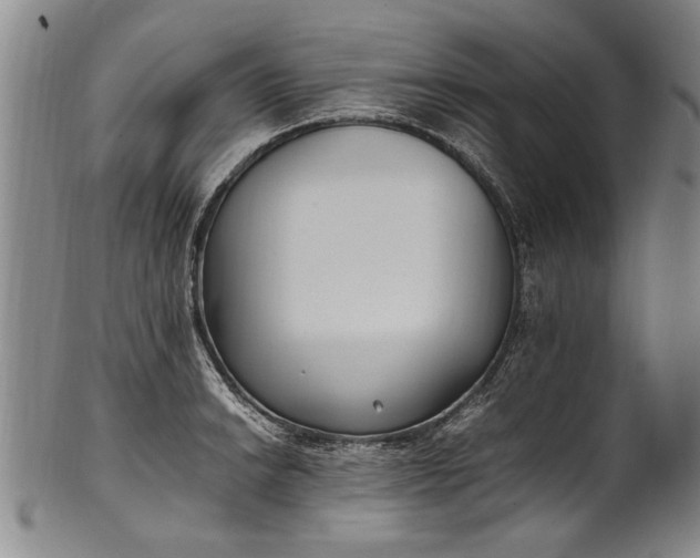 X0000102251038200808081406