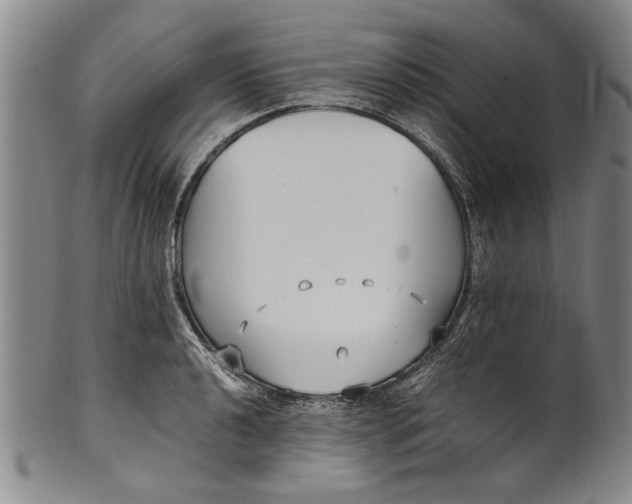 X0000102251040200808081406