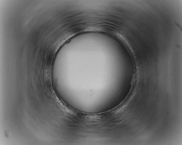 X0000102251041200808081406