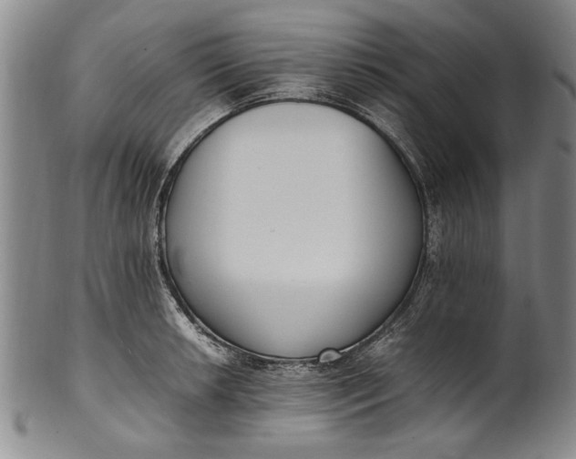 X0000102251042200808081406