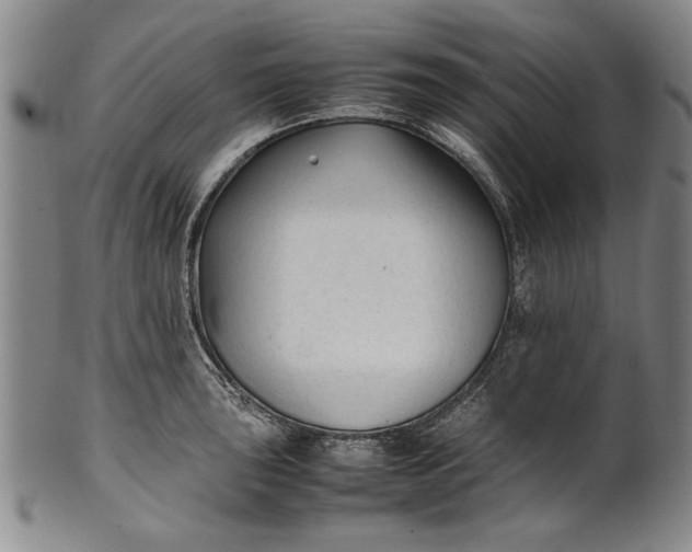 X0000102251043200808081406