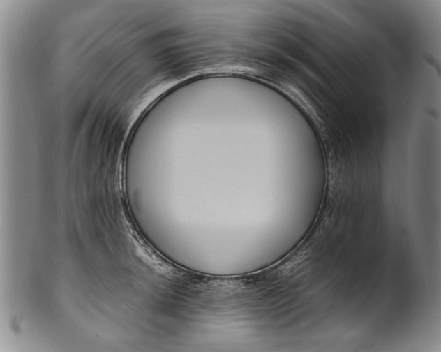 X0000102251044200808081406