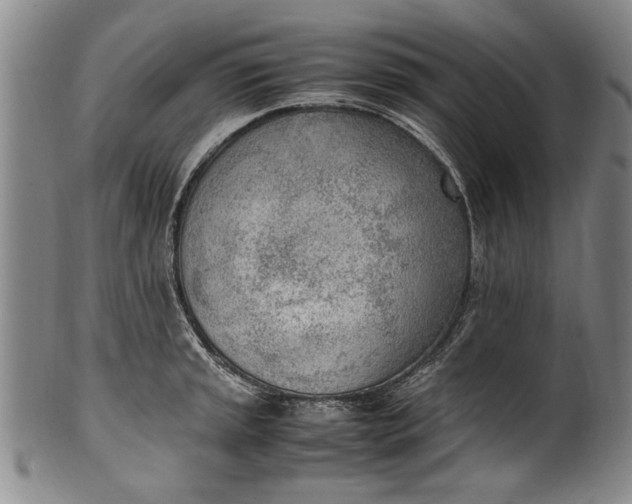 X0000102251045200808081406