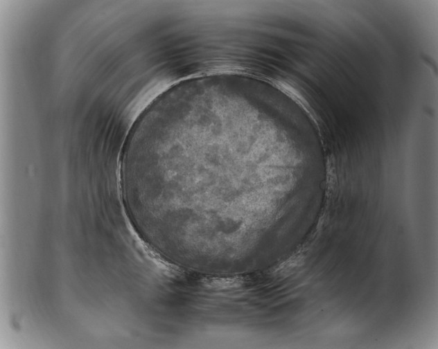 X0000102251047200808081406