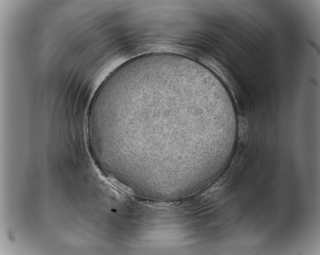 X0000102251048200808081406