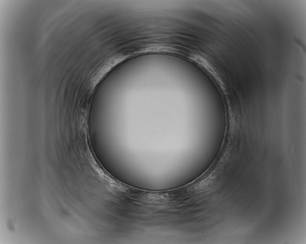 X0000102251049200808081406