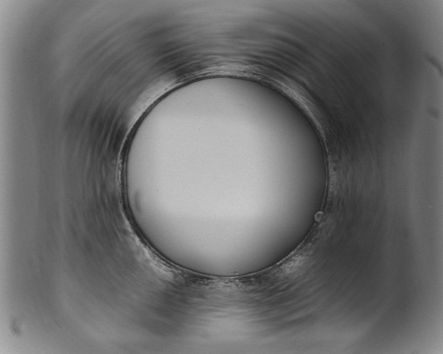 X0000102251050200808081406