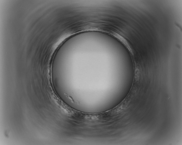 X0000102251051200808081406