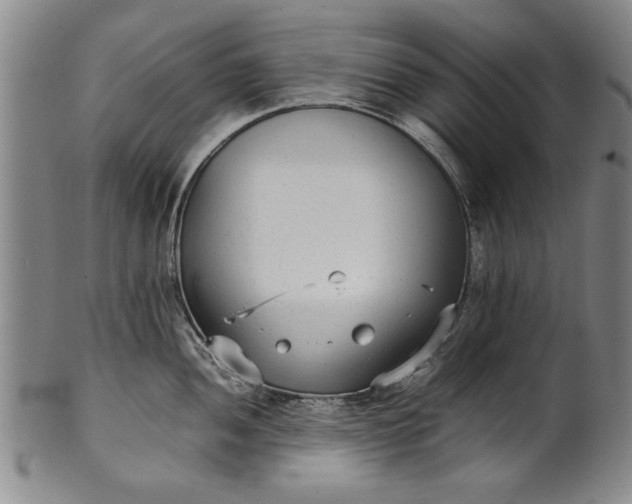 X0000102251052200808081406