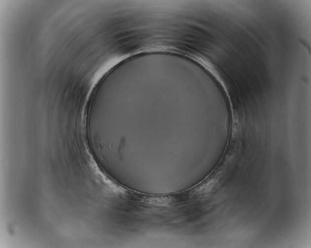 X0000102251053200808081406