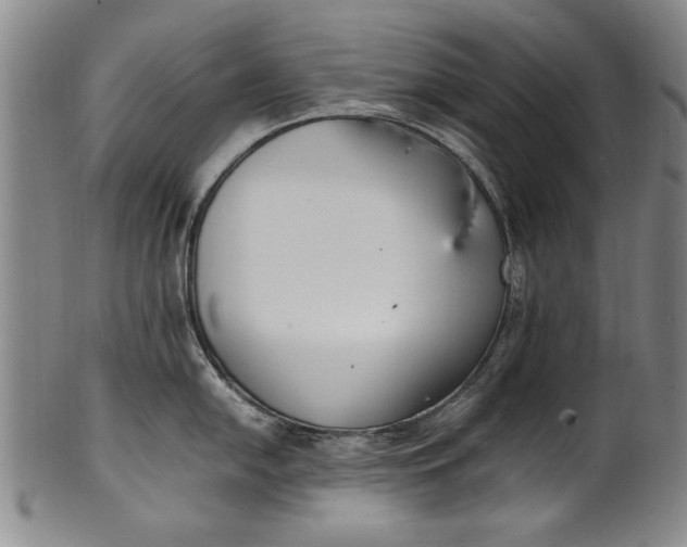 X0000102251054200808081406