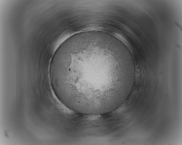 X0000102251055200808081406