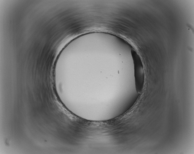 X0000102251056200808081406