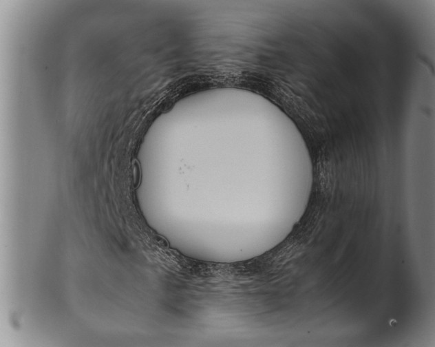 X0000102251057200808081406