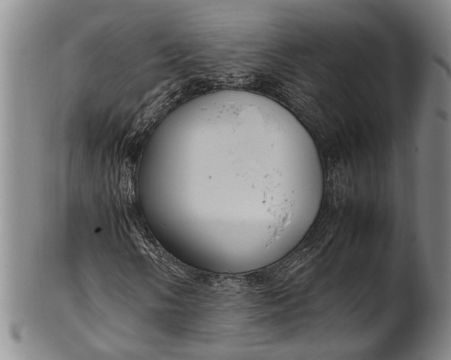 X0000102251058200808081406