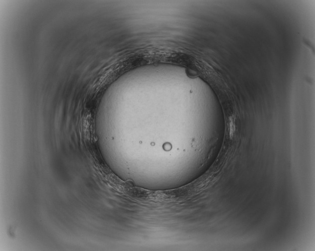 X0000102251059200808081406