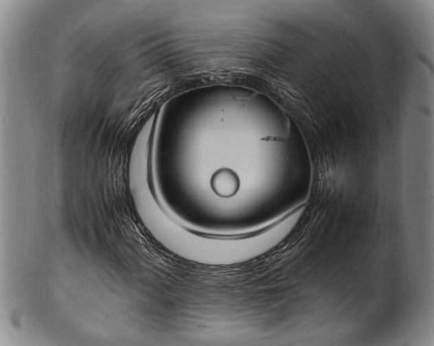 X0000102251060200808081406