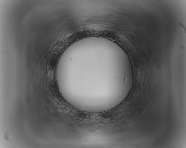 X0000102251061200808081406