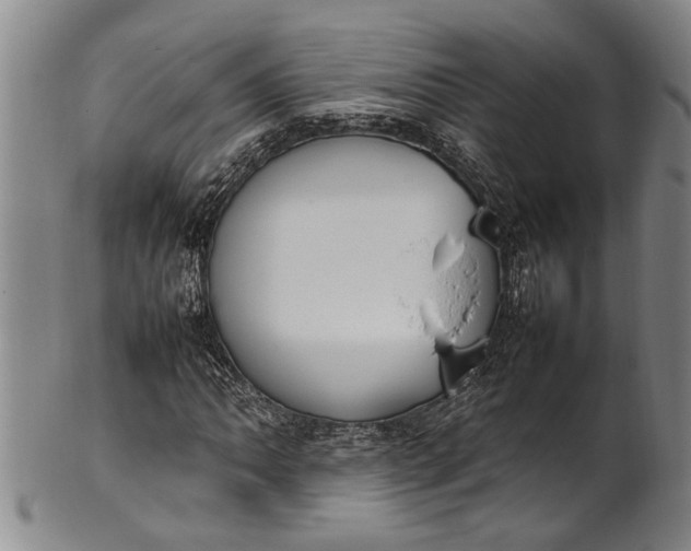 X0000102251062200808081406