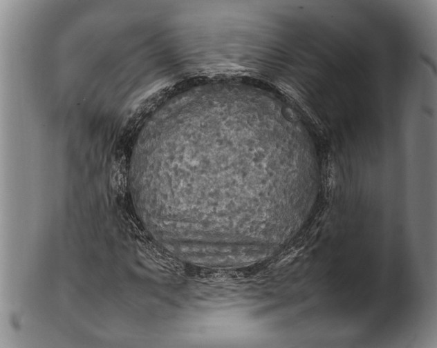 X0000102251063200808081406