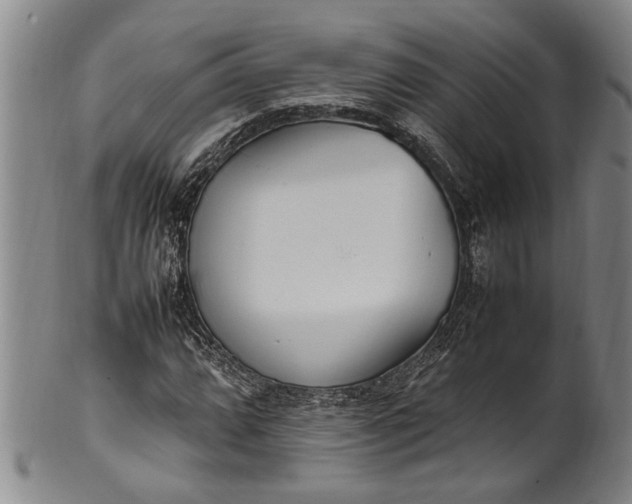 X0000102251064200808081406