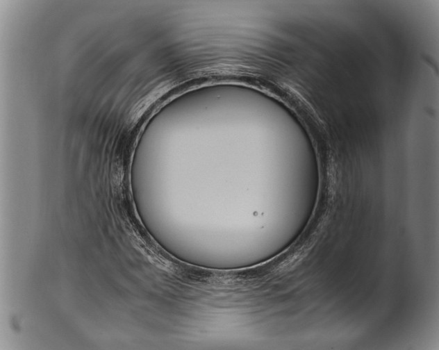 X0000102251065200808081406