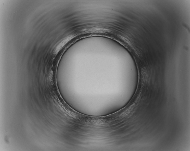 X0000102251066200808081406