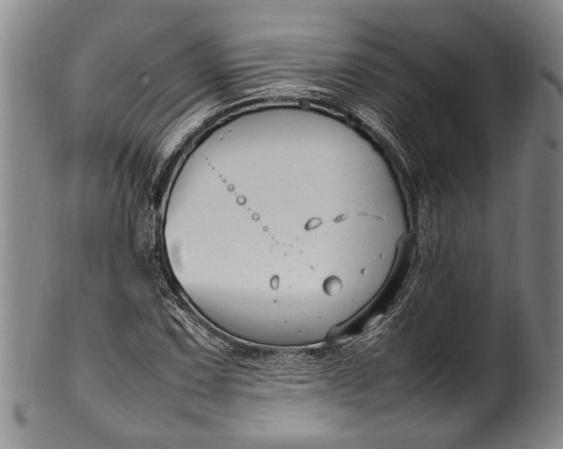 X0000102251067200808081406