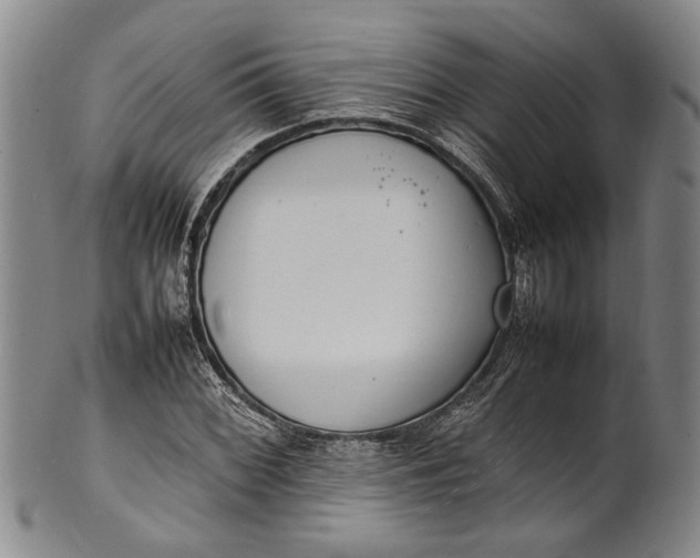 X0000102251068200808081406