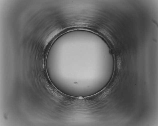 X0000102251069200808081406