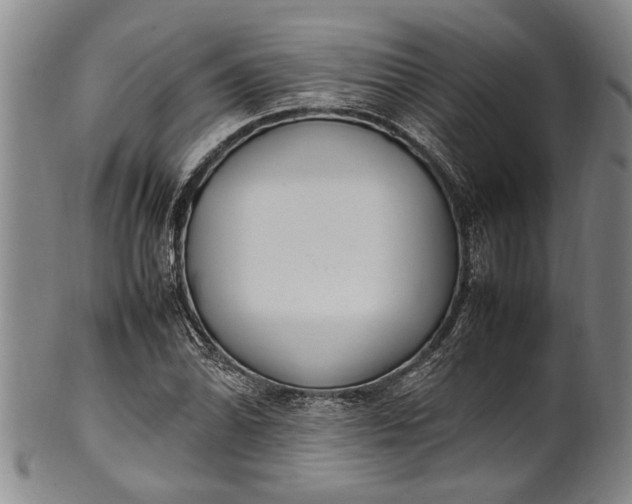 X0000102251070200808081406