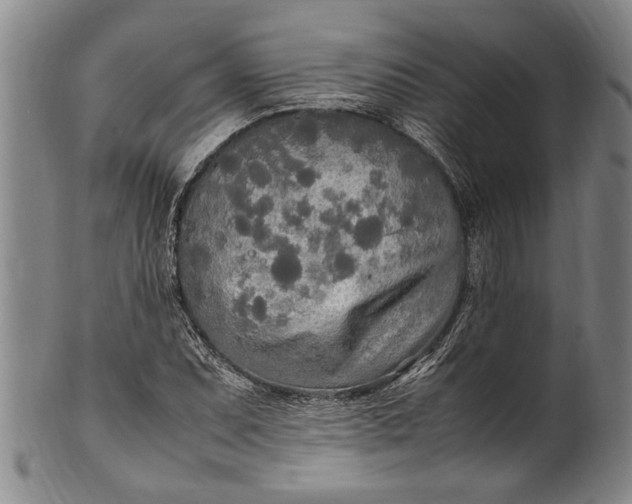 X0000102251071200808081406