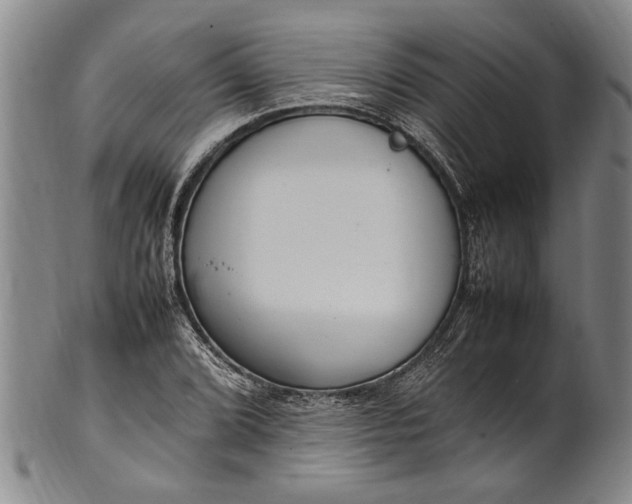 X0000102251072200808081406