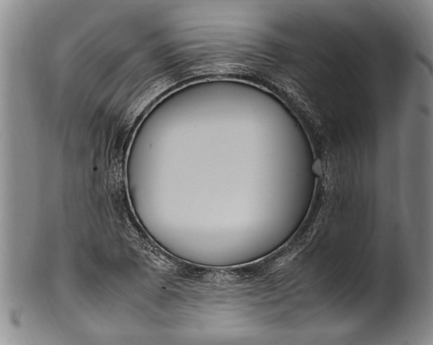 X0000102251073200808081405