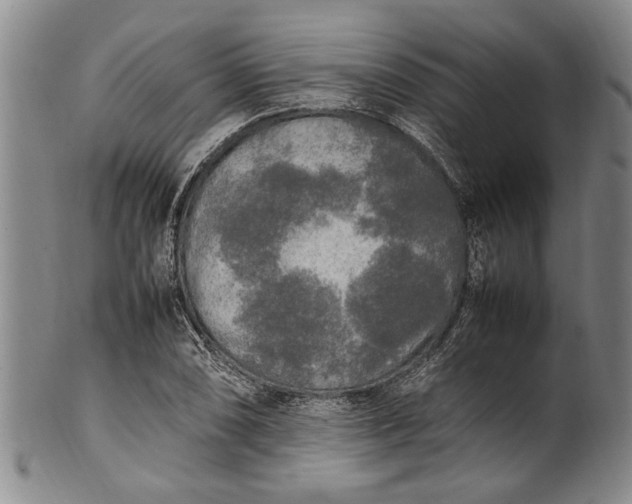 X0000102251074200808081405