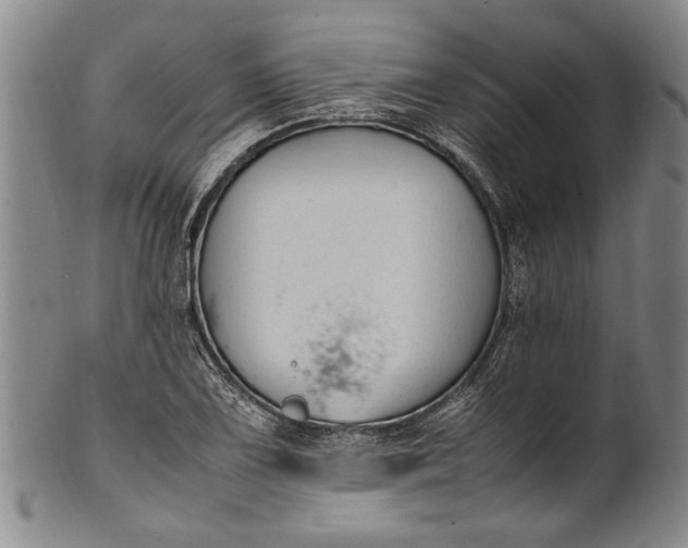 X0000102251075200808081405