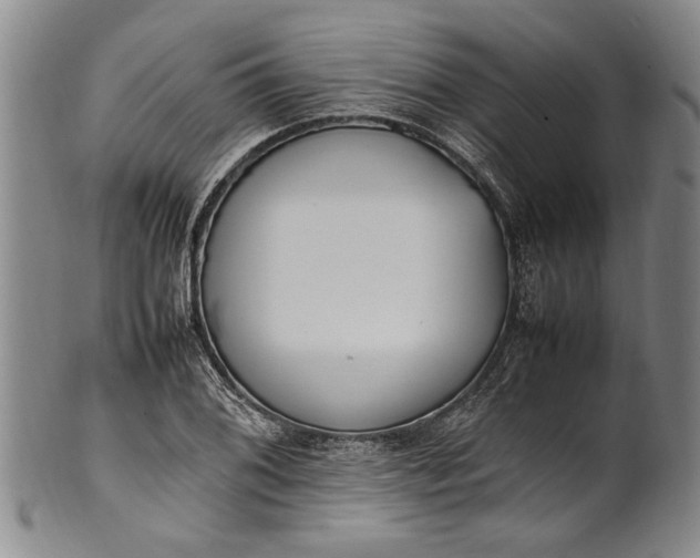 X0000102251076200808081405