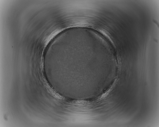 X0000102251077200808081405