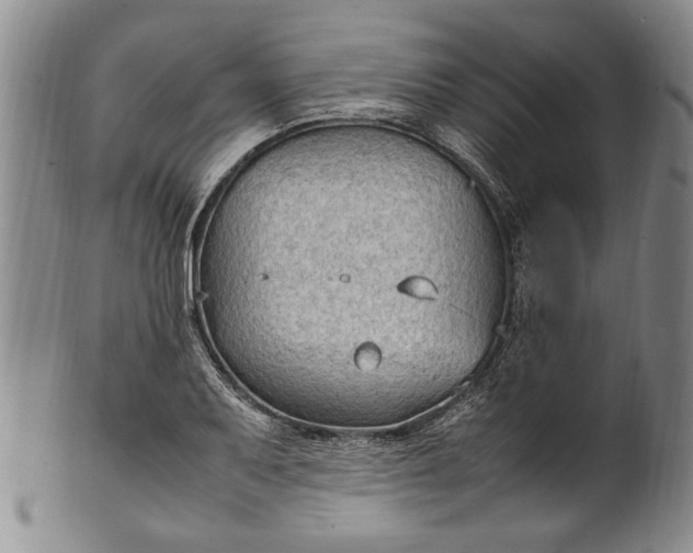 X0000102251079200808081405