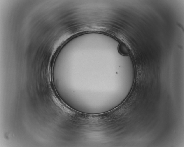 X0000102251080200808081405