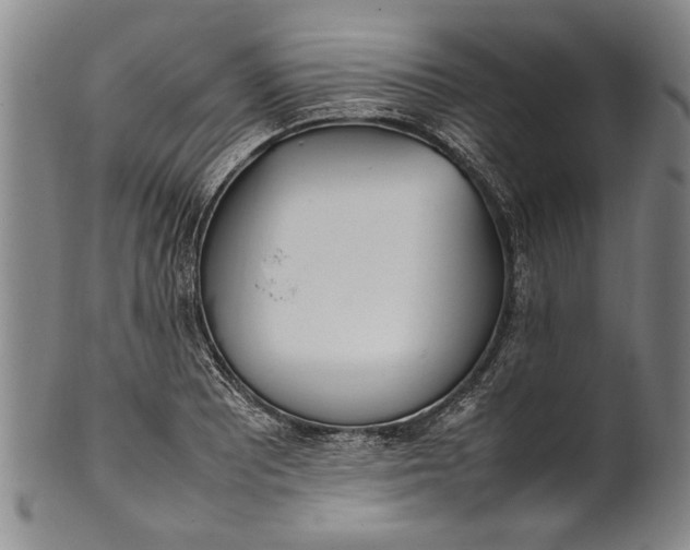 X0000102251081200808081405