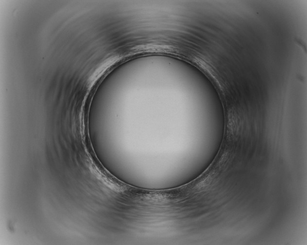 X0000102251082200808081405