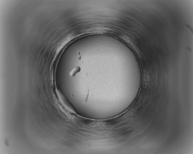 X0000102251083200808081405