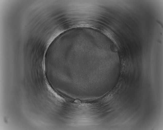 X0000102251084200808081405