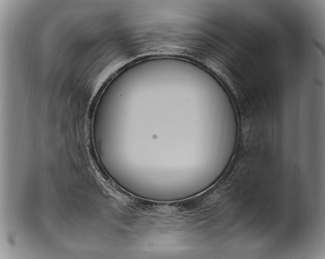 X0000102251085200808081405